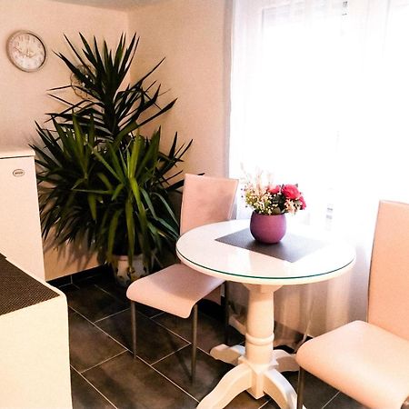 Apartman Andrea 4 巴尼西卢卡 客房 照片