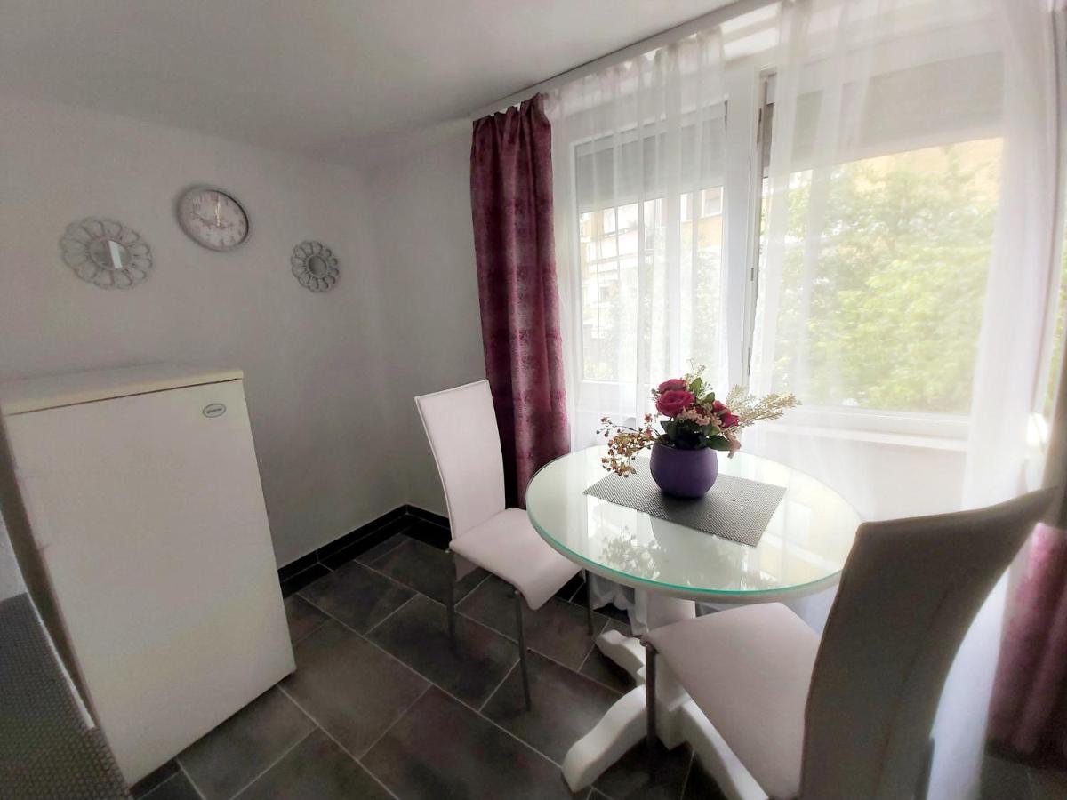 Apartman Andrea 4 巴尼西卢卡 外观 照片